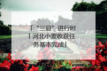 “三夏”进行时丨河北小麦收获任务基本完成